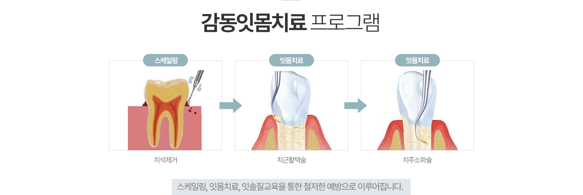 통합진료 클리닉